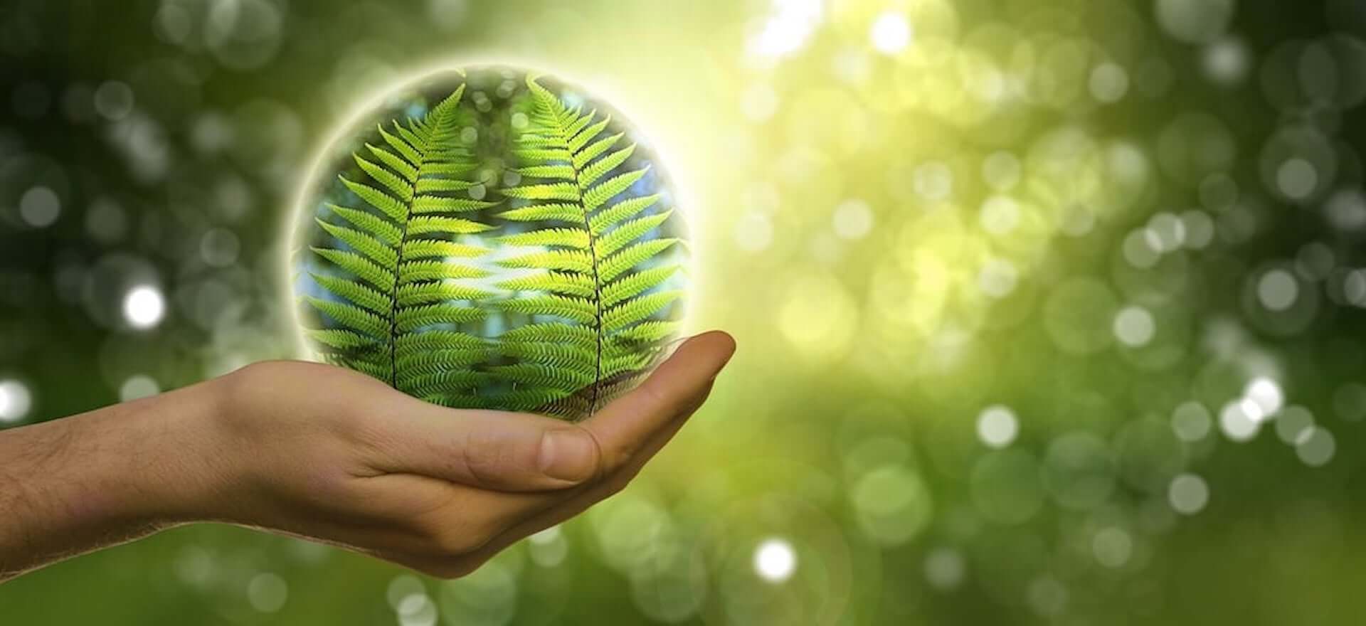 Umweltschutz-Natur-Yoga Umweltschutz-Natur-Yoga